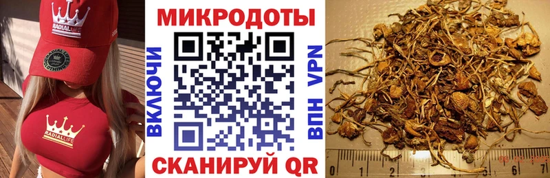 Галлюциногенные грибы мухоморы Чернушка