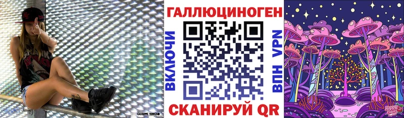 Галлюциногенные грибы Psilocybe Чернушка