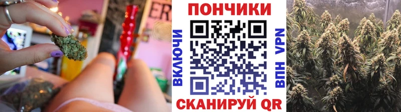 Бошки Шишки сатива Чернушка